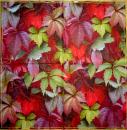 181 Plants - 3-ply - Ambiente